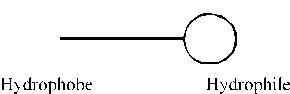 Schematic Sketch of Surfactant Molecule