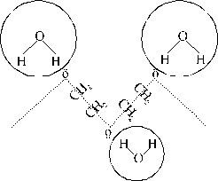 polyethylene glycol chain